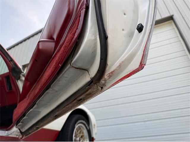 1978 Pontiac Firebird Trans Am (CC-2093323) for sale in Lincoln, Nebraska