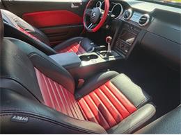 2009 Ford Mustang (CC-2090333) for sale in Greensboro, North Carolina