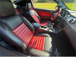 2009 Ford Mustang (CC-2090333) for sale in Greensboro, North Carolina