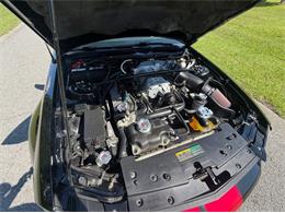 2009 Ford Mustang (CC-2090333) for sale in Greensboro, North Carolina
