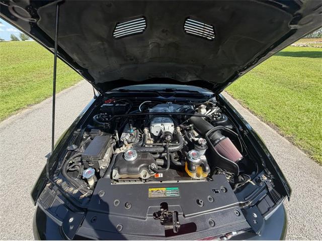 2009 Ford Mustang (CC-2090333) for sale in Greensboro, North Carolina