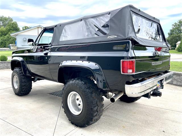 1974 Chevrolet Blazer (CC-2093335) for sale in Hilton, New York