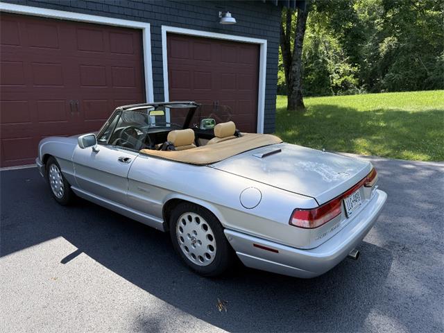 1991 Alfa Romeo Spider Veloce (CC-2093436) for sale in Saratoga Springs, New York