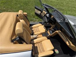1991 Alfa Romeo Spider Veloce (CC-2093436) for sale in Saratoga Springs, New York