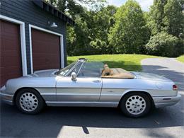 1991 Alfa Romeo Spider Veloce (CC-2093436) for sale in Saratoga Springs, New York