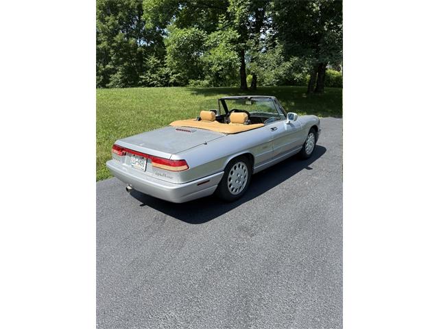 1991 Alfa Romeo Spider Veloce (CC-2093436) for sale in Saratoga Springs, New York