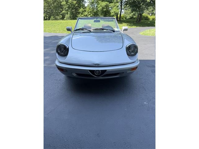 1991 Alfa Romeo Spider Veloce (CC-2093436) for sale in Saratoga Springs, New York