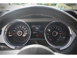 2014 Ford Mustang (CC-2093444) for sale in Saratoga Springs, New York