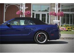 2014 Ford Mustang (CC-2093444) for sale in Saratoga Springs, New York