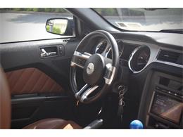2014 Ford Mustang (CC-2093444) for sale in Saratoga Springs, New York