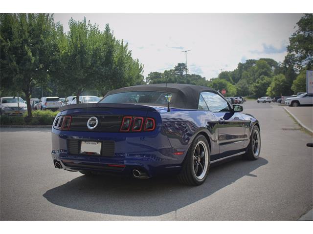 2014 Ford Mustang (CC-2093444) for sale in Saratoga Springs, New York