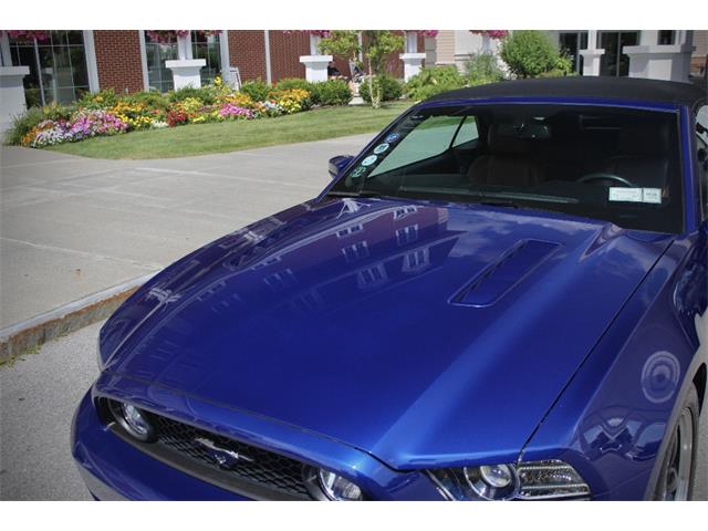 2014 Ford Mustang (CC-2093444) for sale in Saratoga Springs, New York
