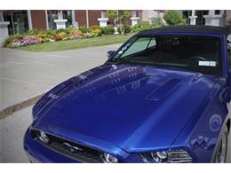 2014 Ford Mustang (CC-2093444) for sale in Saratoga Springs, New York