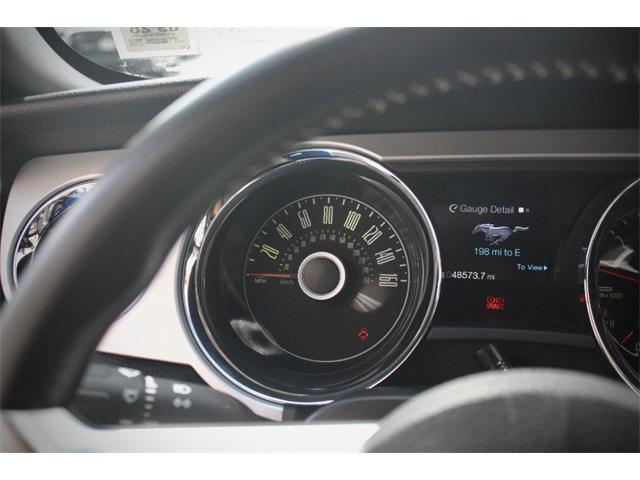 2014 Ford Mustang (CC-2093444) for sale in Saratoga Springs, New York