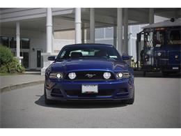 2014 Ford Mustang (CC-2093444) for sale in Saratoga Springs, New York
