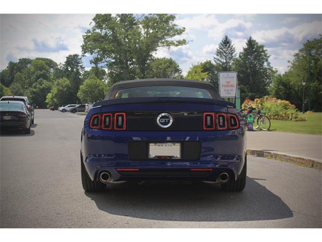 2014 Ford Mustang (CC-2093444) for sale in Saratoga Springs, New York