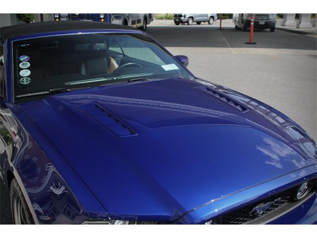 2014 Ford Mustang (CC-2093444) for sale in Saratoga Springs, New York