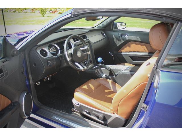 2014 Ford Mustang (CC-2093444) for sale in Saratoga Springs, New York