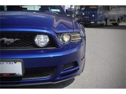 2014 Ford Mustang (CC-2093444) for sale in Saratoga Springs, New York