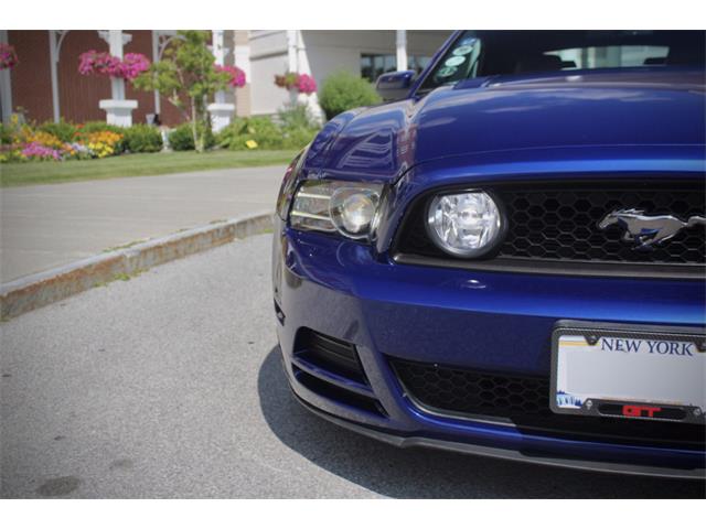 2014 Ford Mustang (CC-2093444) for sale in Saratoga Springs, New York