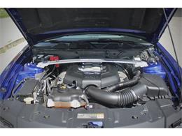 2014 Ford Mustang (CC-2093444) for sale in Saratoga Springs, New York