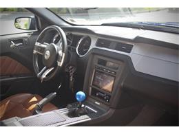 2014 Ford Mustang (CC-2093444) for sale in Saratoga Springs, New York