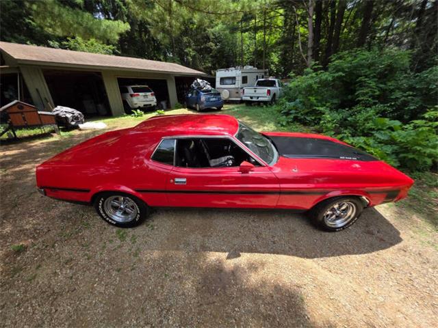 1971 Ford Mustang (CC-2093452) for sale in Waconia, Minnesota
