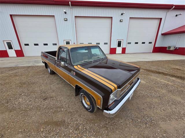 1976 GMC Sierra 1500 (CC-2093455) for sale in Waconia, Minnesota