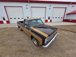 1976 GMC Sierra 1500 (CC-2093455) for sale in Waconia, Minnesota