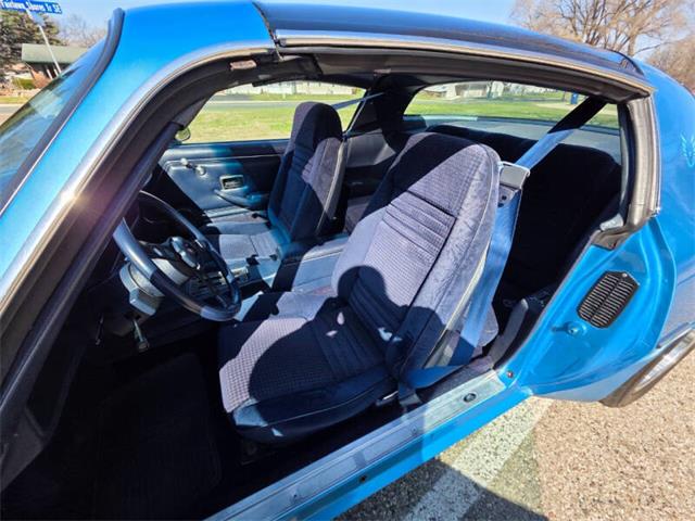 1980 Pontiac Firebird Formula Trans Am (CC-2093458) for sale in Waconia, Minnesota