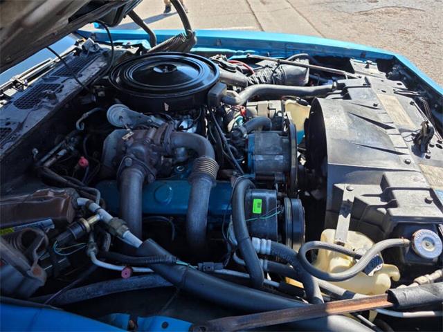 1980 Pontiac Firebird Formula Trans Am (CC-2093458) for sale in Waconia, Minnesota