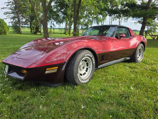 1981 Chevrolet Corvette L82 (CC-2093459) for sale in Waconia, Minnesota