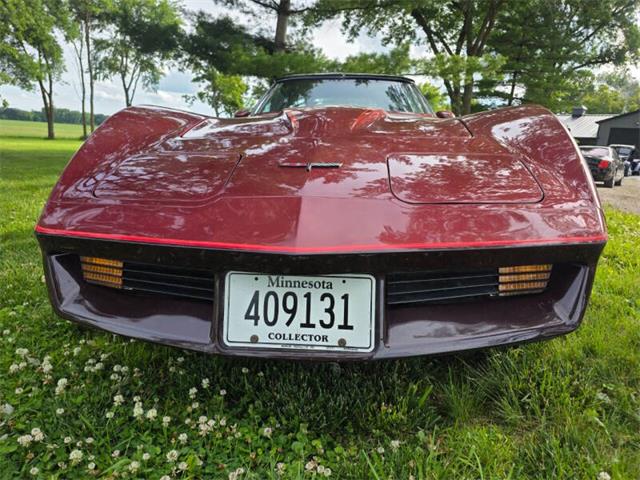 1981 Chevrolet Corvette L82 (CC-2093459) for sale in Waconia, Minnesota