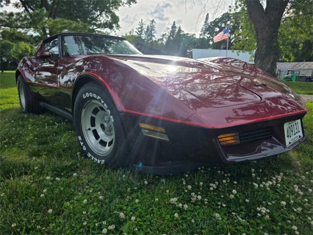 1981 Chevrolet Corvette L82 (CC-2093459) for sale in Waconia, Minnesota