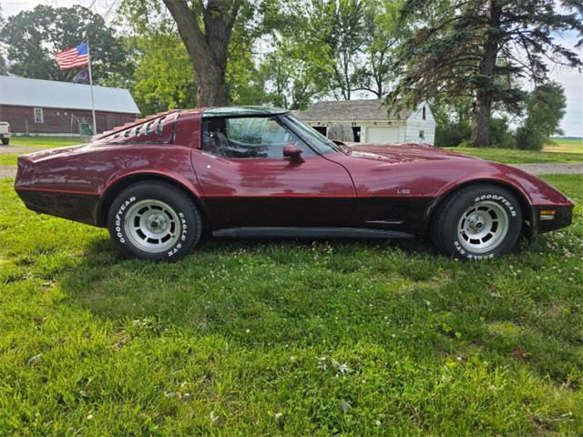 1981 Chevrolet Corvette L82 (CC-2093459) for sale in Waconia, Minnesota