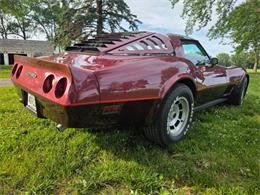 1981 Chevrolet Corvette L82 (CC-2093459) for sale in Waconia, Minnesota
