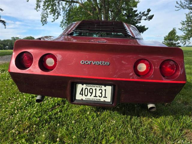 1981 Chevrolet Corvette L82 (CC-2093459) for sale in Waconia, Minnesota
