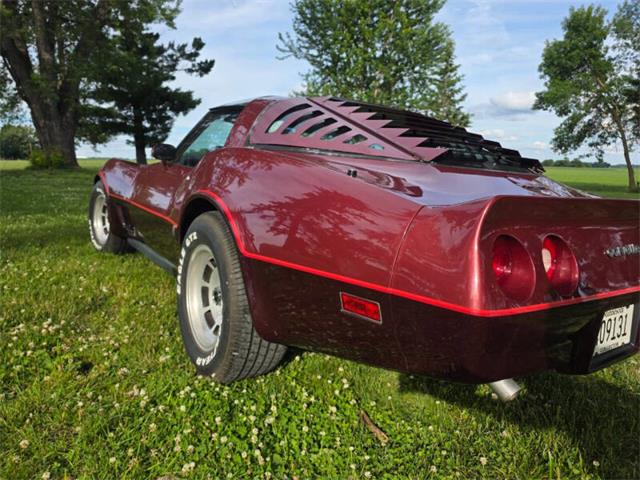 1981 Chevrolet Corvette L82 (CC-2093459) for sale in Waconia, Minnesota