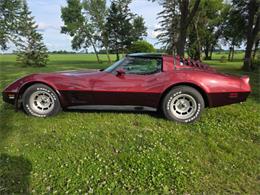 1981 Chevrolet Corvette L82 (CC-2093459) for sale in Waconia, Minnesota