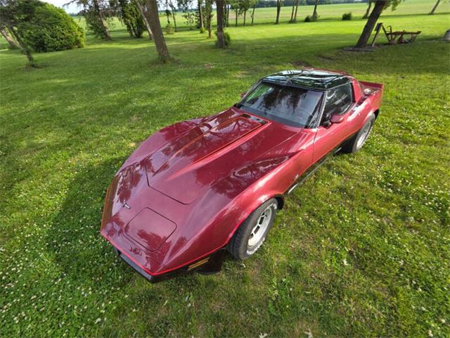 1981 Chevrolet Corvette L82 (CC-2093459) for sale in Waconia, Minnesota