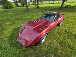 1981 Chevrolet Corvette L82 (CC-2093459) for sale in Waconia, Minnesota