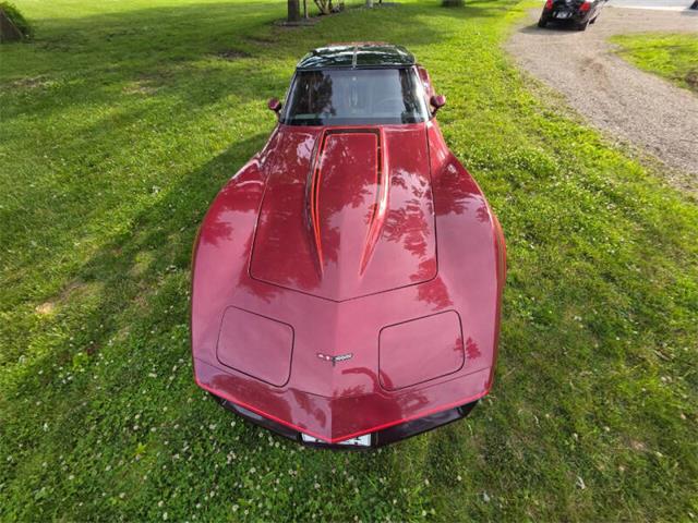 1981 Chevrolet Corvette L82 (CC-2093459) for sale in Waconia, Minnesota