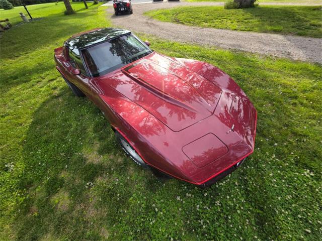 1981 Chevrolet Corvette L82 (CC-2093459) for sale in Waconia, Minnesota