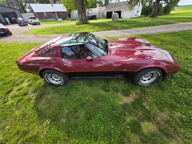 1981 Chevrolet Corvette L82 (CC-2093459) for sale in Waconia, Minnesota