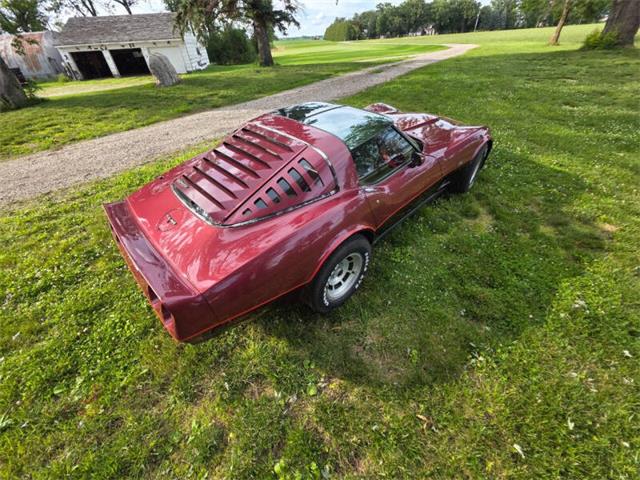 1981 Chevrolet Corvette L82 (CC-2093459) for sale in Waconia, Minnesota