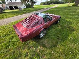1981 Chevrolet Corvette L82 (CC-2093459) for sale in Waconia, Minnesota