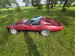 1981 Chevrolet Corvette L82 (CC-2093459) for sale in Waconia, Minnesota