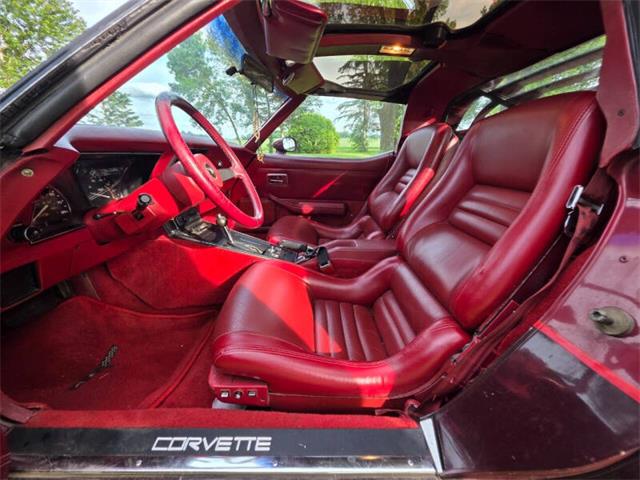 1981 Chevrolet Corvette L82 (CC-2093459) for sale in Waconia, Minnesota