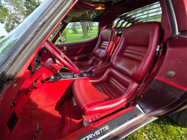1981 Chevrolet Corvette L82 (CC-2093459) for sale in Waconia, Minnesota