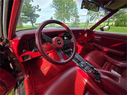 1981 Chevrolet Corvette L82 (CC-2093459) for sale in Waconia, Minnesota